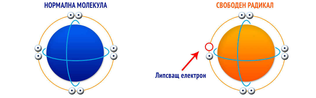 свободен радикал