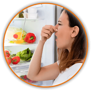 Мултифункционалният пречиствател Hygea Air с озон ЕФЕКТИВНО НЕУТРАЛИЗИРА НЕПРИЯТНИ МИРИЗМИ