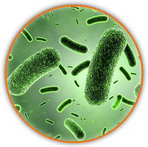 Мултифункционалният пречиствател Hygea Air с озон ЕЛИМИНИРА БАКТЕРИИ, ВИРУСИ И ПОТИСКА РАЗВИТИЕТО НА ПЛЕСЕН